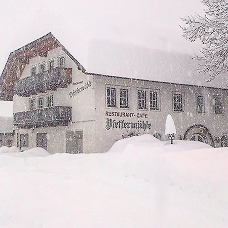 Landgasthof Pfeffermuehle Apartmán